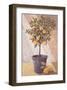 Lemontree-Karsten Kirchner-Framed Art Print