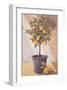 Lemontree-Karsten Kirchner-Framed Art Print