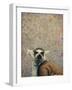 Lemur-James W. Johnson-Framed Giclee Print