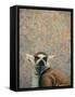 Lemur-James W. Johnson-Framed Stretched Canvas