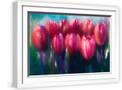 White Frame