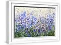 White Frame