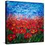 Stretched Canvas