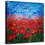 Stretched Canvas