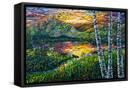 Canvas Black