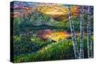 Stretched Canvas