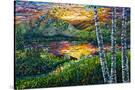 Stretched Canvas