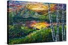 Stretched Canvas