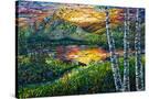 Stretched Canvas