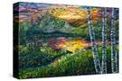 Stretched Canvas