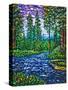 Stretched Canvas