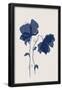 Essential Black