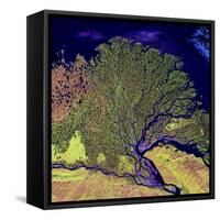 Lena River Delta, Russia-null-Framed Stretched Canvas