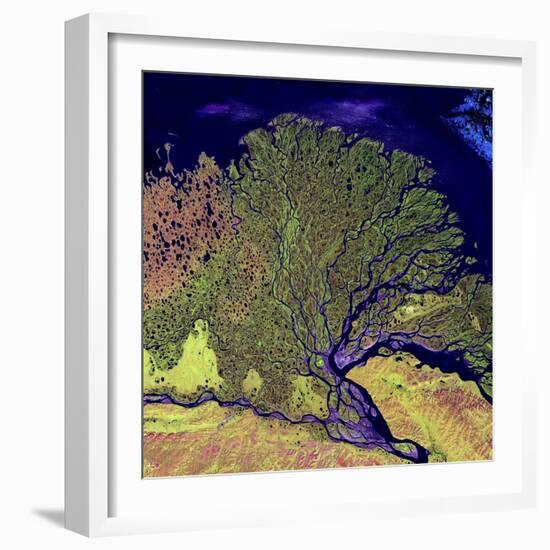 Lena River Delta, Russia-null-Framed Premium Photographic Print