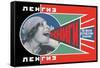 Lengiz, Books in all Branches of Knowledge-Aleksandr Rodchenko-Framed Stretched Canvas