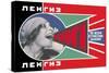 Lengiz, Books in all Branches of Knowledge-Aleksandr Rodchenko-Stretched Canvas