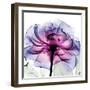 Leni Rose 2-Albert Koetsier-Framed Art Print