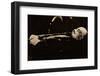 Lenin, founder of the New Russia, 1924, (1938)-null-Framed Photographic Print
