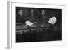 Lenin in Coffin-null-Framed Photographic Print