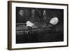 Lenin in Coffin-null-Framed Photographic Print