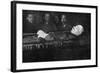 Lenin in Coffin-null-Framed Photographic Print