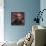 Lenin, Russian Bolshevik Revolutionary-null-Framed Stretched Canvas displayed on a wall