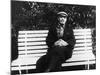 Lenin Sits on a Bench-null-Mounted Photographic Print