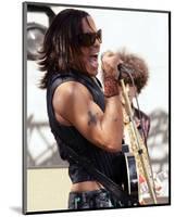 Lenny Kravitz-null-Mounted Photo