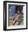 Lenny Kravitz-null-Framed Photo