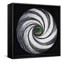 Lense Swirl with Palm Tree, 2005-Carolyn Hubbard-Ford-Framed Stretched Canvas