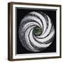 Lense Swirl with Palm Tree, 2005-Carolyn Hubbard-Ford-Framed Giclee Print