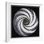 Lense Swirl with Palm Tree, 2005-Carolyn Hubbard-Ford-Framed Giclee Print