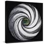 Lense Swirl with Palm Tree, 2005-Carolyn Hubbard-Ford-Stretched Canvas