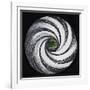 Lense Swirl with Palm Tree, 2005-Carolyn Hubbard-Ford-Framed Giclee Print