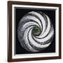 Lense Swirl with Palm Tree, 2005-Carolyn Hubbard-Ford-Framed Giclee Print