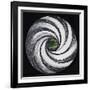 Lense Swirl with Palm Tree, 2005-Carolyn Hubbard-Ford-Framed Giclee Print