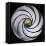 Lense Swirl with Sea and Clouds, 2005-Carolyn Hubbard-Ford-Framed Stretched Canvas