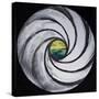 Lense Swirl with Sea and Clouds, 2005-Carolyn Hubbard-Ford-Stretched Canvas