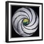 Lense Swirl with Sea and Clouds, 2005-Carolyn Hubbard-Ford-Framed Giclee Print