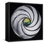 Lense Swirl with Sea and Clouds, 2005-Carolyn Hubbard-Ford-Framed Stretched Canvas