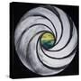 Lense Swirl with Sea and Clouds, 2005-Carolyn Hubbard-Ford-Stretched Canvas