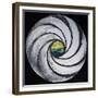 Lense Swirl with Sea and Clouds, 2005-Carolyn Hubbard-Ford-Framed Giclee Print