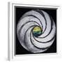 Lense Swirl with Sea and Clouds, 2005-Carolyn Hubbard-Ford-Framed Giclee Print