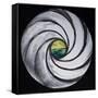 Lense Swirl with Sea and Clouds, 2005-Carolyn Hubbard-Ford-Framed Stretched Canvas