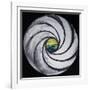 Lense Swirl with Sea and Clouds, 2005-Carolyn Hubbard-Ford-Framed Giclee Print