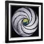 Lense Swirl with Sea and Clouds, 2005-Carolyn Hubbard-Ford-Framed Giclee Print