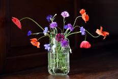 Glass with Poppies and Cornflowers-lenta-Photographic Print