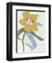 Lenten Rose I-Melissa Wang-Framed Art Print