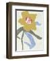 Lenten Rose I-Melissa Wang-Framed Art Print