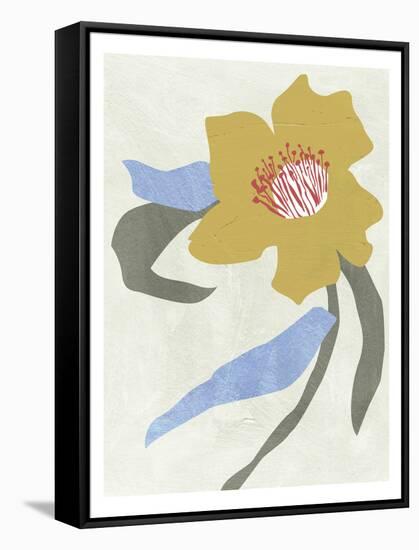 Lenten Rose II-Melissa Wang-Framed Stretched Canvas